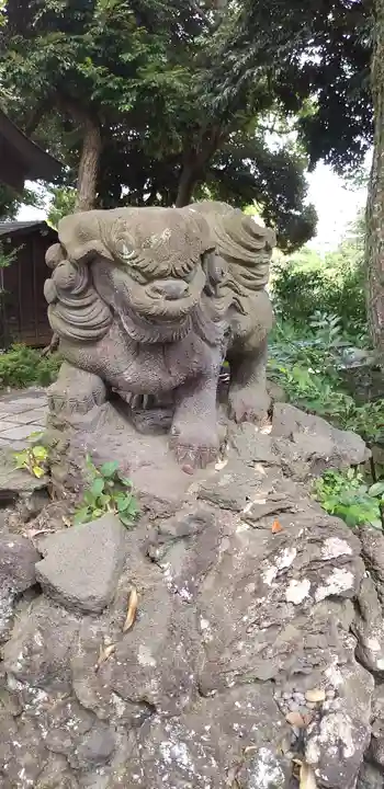 菊田神社の狛犬