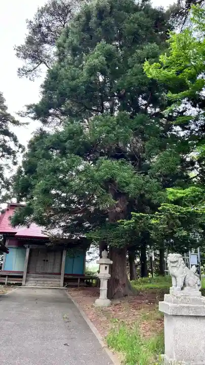 川上神社(北海道)