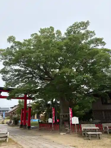 曽根神社(新潟県)