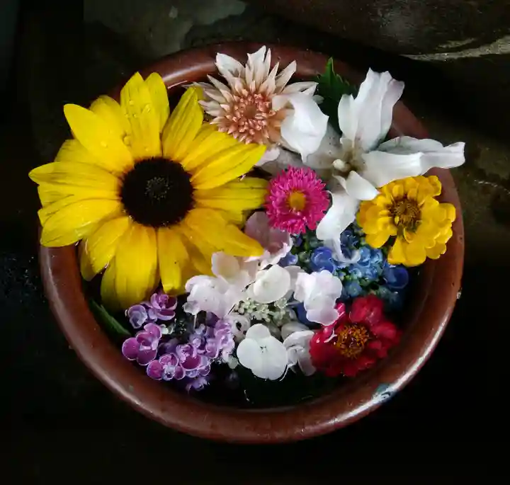 菅生神社の手水舎