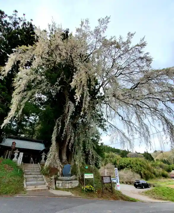 堂山王子神社の自然