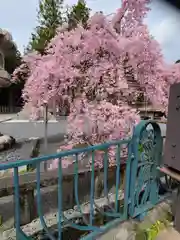 金蛇水神社の自然