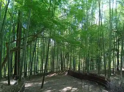 八王寺(埼玉県)