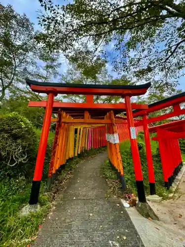 扇森稲荷神社の鳥居