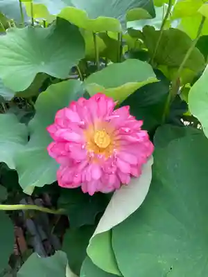 盛松寺(大阪府)