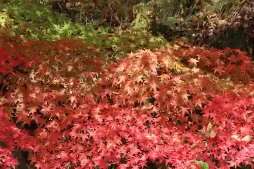 国宝 大法寺(長野県)