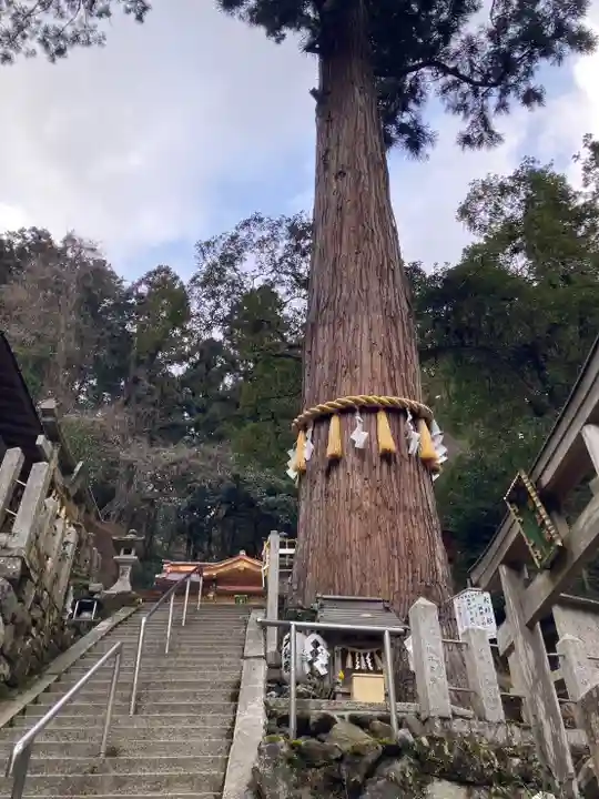 由岐神社(京都府)