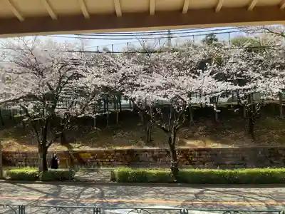 妙櫻寺(東京都)