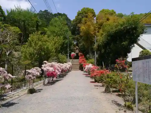 正福寺の庭園