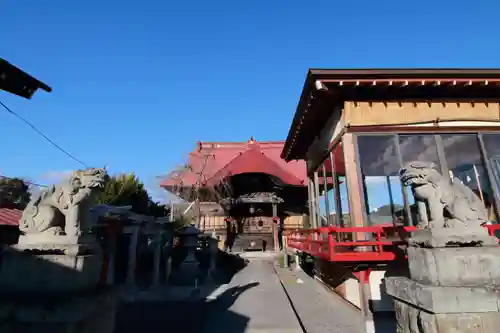 大鏑神社の狛犬