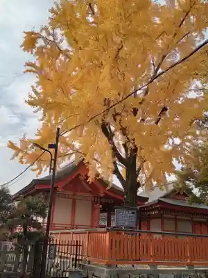 東寺（教王護国寺）(京都府)