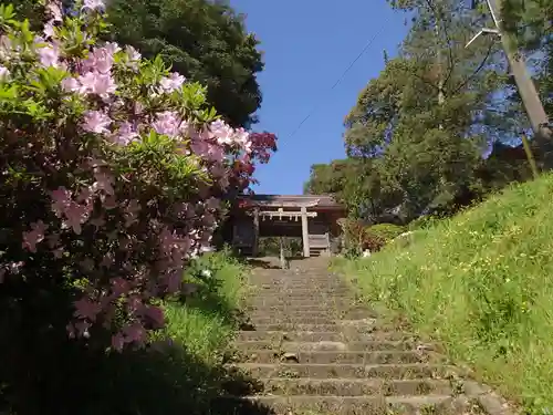 忌部神社のその他建物