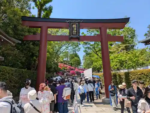 根津神社(東京都)