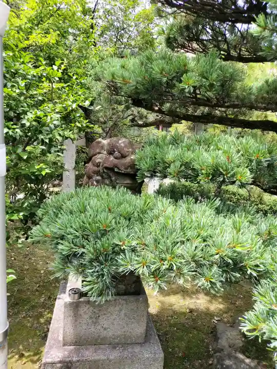 妙行寺(愛知県)