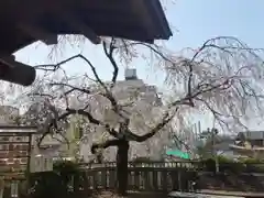 根岸八幡神社(神奈川県)