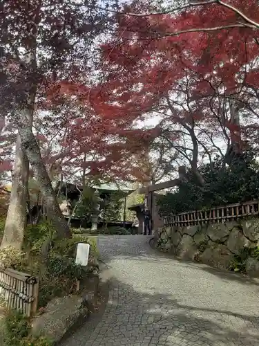 深大寺(東京都)