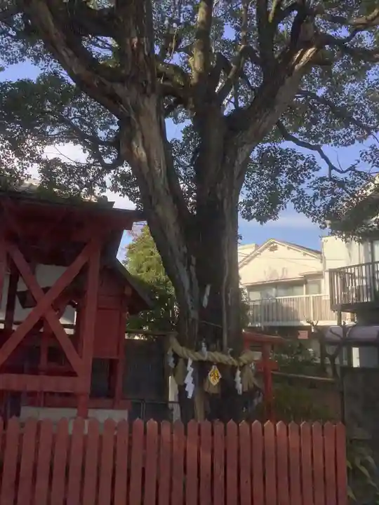 冨士八幡社(愛知県)
