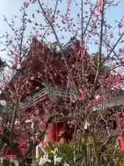 北野天満宮の景色