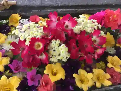 北広島市総鎮守 廣島神社の手水舎