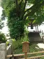 北向観音の自然