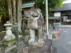 敢國神社の狛犬