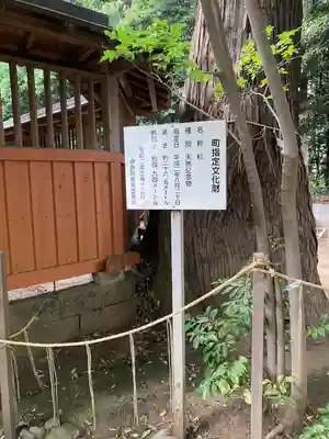 氷川神社(埼玉県)