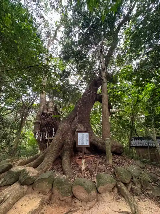 住吉神社(山口県)