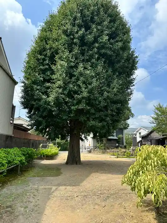 日吉八王子神社(東京都)