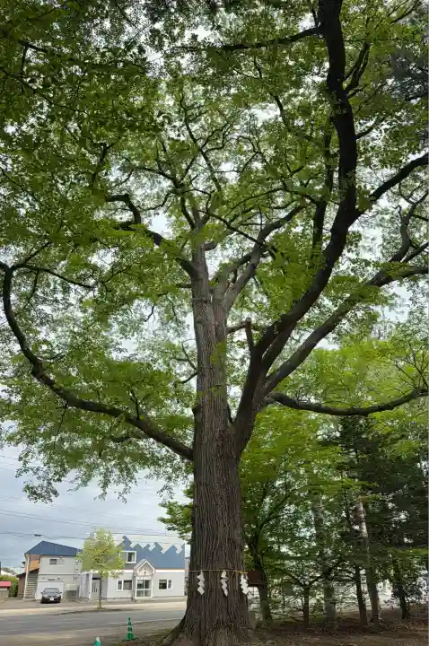音更神社の自然