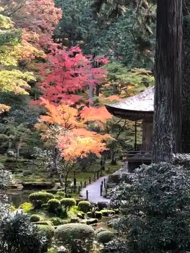 三千院門跡(京都府)