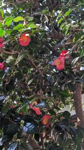 妙蓮寺(京都府)