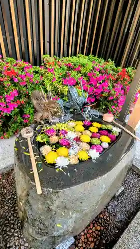 駒込妙義神社の手水舎