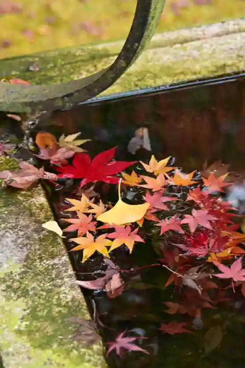 東光寺(滋賀県)