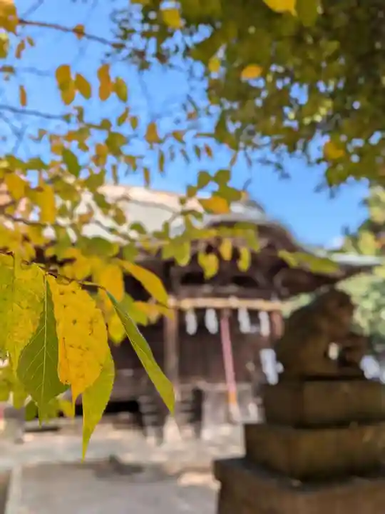 下石原八幡神社(東京都)