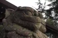 川口神社の狛犬