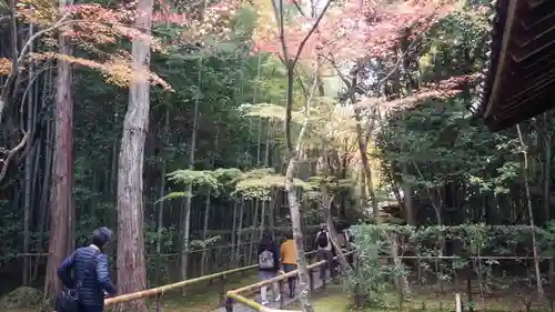 大徳寺(京都府)