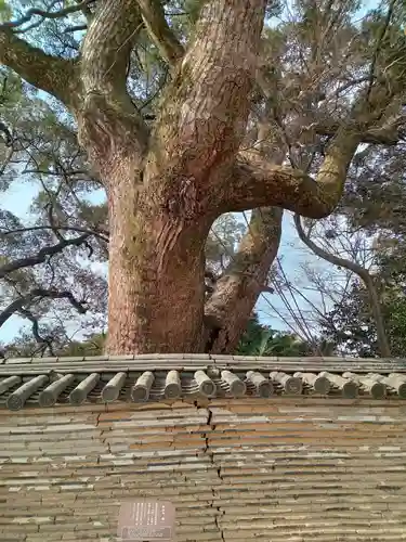 石清水八幡宮(京都府)