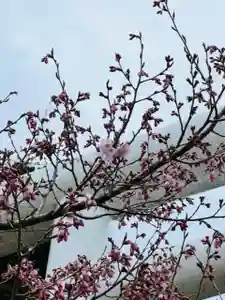 土津神社|こどもと出世の神さまの自然(2023年04月07日(金) 12時35分15秒投稿)