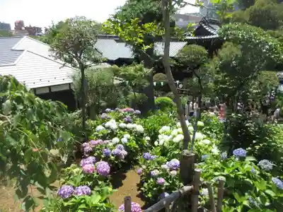 白山神社(東京都)
