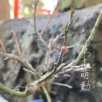總社 和田八幡宮の自然
