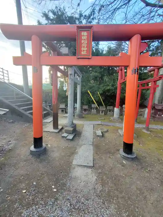 椿田稲荷神社(栃木県)