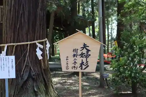 間々田八幡宮の歴史