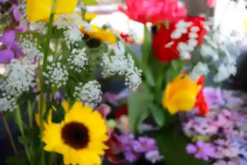 三津厳島神社の自然