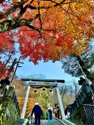 伊香保神社(群馬県)