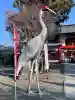 箱崎八幡神社(鹿児島県)