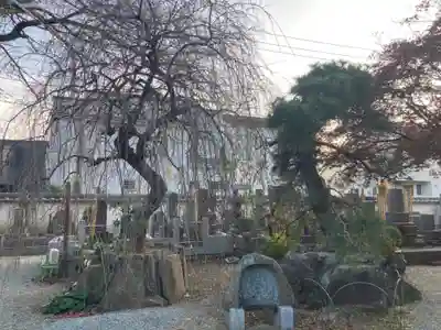 妙圓寺(神奈川県)