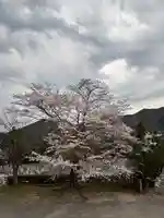 和田寺(兵庫県)