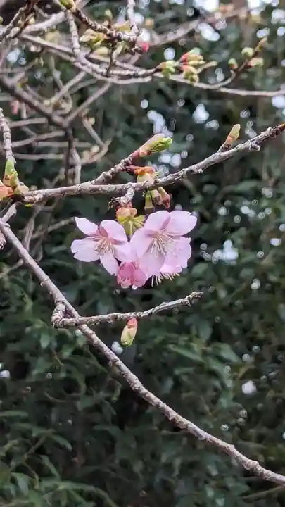 惠心院(京都府)