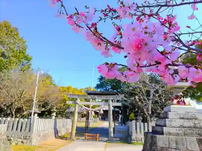 大宮神社の自然