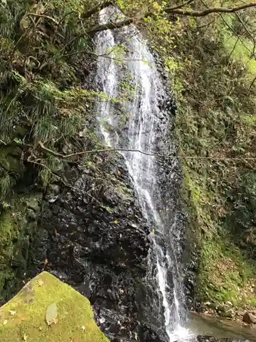 山神神社の自然